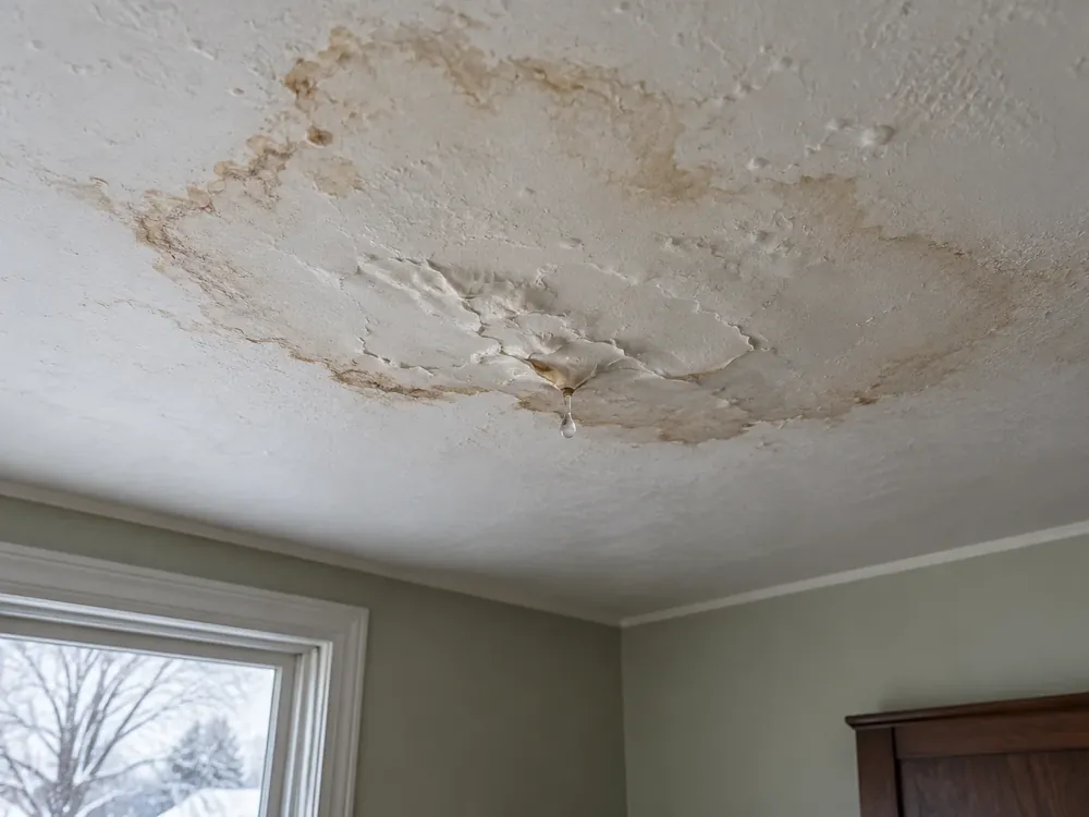 Bedroom ceiling with a brown ring, bubbling paint, and a forming drip